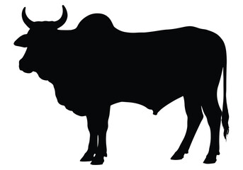 Traditional Bengal Bull Vector.