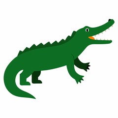 Cartoon green crocodile illustration isolated on white background