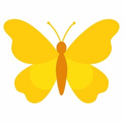 Yellow butterfly illustration isolated on white background © MD.SIDDIKUR