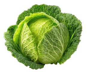 Obraz premium Fresh green cabbage for healthy cooking and meal preparation