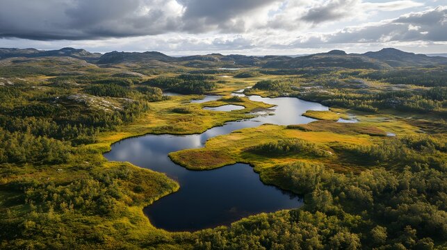 Wide-angle scene of the sprawling open landscapes and forests of Mols Bjerge National Park, Denmark