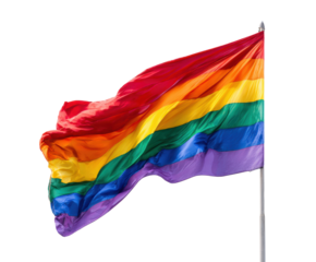 Celebrating pride with a vibrant rainbow flag waving in the wind