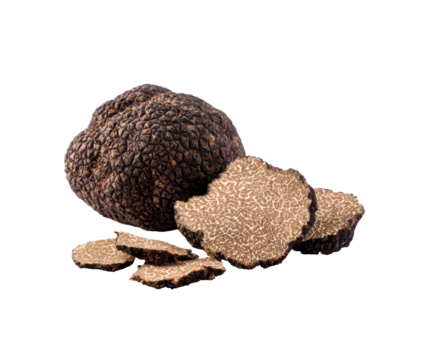 Exquisite black truffle with sliced pieces for culinary delights