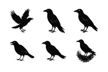 Crow different activities silhouette bundle 