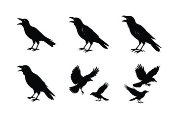 Crow different activities silhouette bundle 