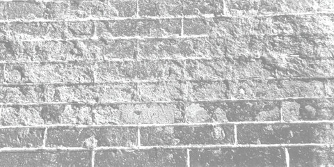 Fototapeta premium Monochromatic exterior surface characterized by distinct cracks, subtle stains, and an overall aged, timeworn aesthetic. 