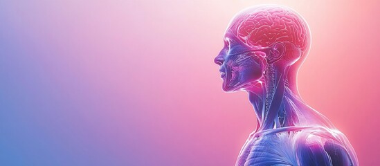Human Anatomy: Brain and Musculature, 3D Rendering