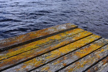the vivid textures and colors of a weathered wooden dock at the edge of a lake