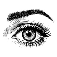 Obraz premium Very Detailed Beautiful Lady Eye with Long Lashes and Brow Black and White Outline Line Art Drawing