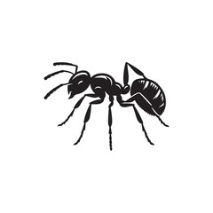 Ant Vector (2).eps