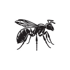 Ant Vector (1).eps