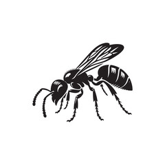 Ant Vector (4).eps