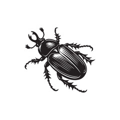 Beetle Vector (1).eps