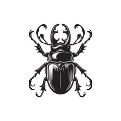 Beetle Vector (3).eps