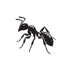 Carpenter Ant Vector (1).eps