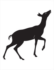 Elegant Deer Silhouette Clipart Bundle – Forest Animal Vector Illustrations, Black and White Woodland Stag Art