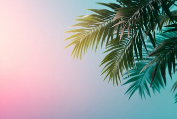 Tropical palm leaves casting soft shadows on pastel background
