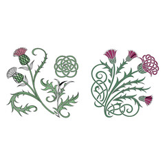 Elegant Thistle Floral Designs Celtic Knot & Botanical Illustrations