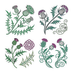 Elegant Thistle Designs Celtic Knot & Floral Illustrations