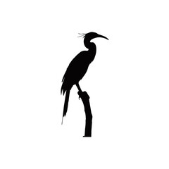 silhouette of a long-billed stork