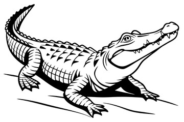 Crocodile Illustration on White Background