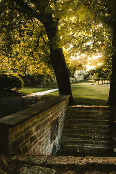 water source with old stone steps, trees, in lamspringe