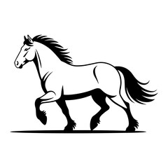 Obraz premium Icelandic Horse