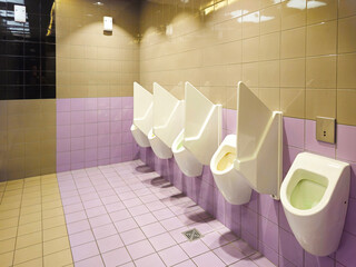 Interior of a bathroom with toilets. Design of sanitary facilities for personal care. Personal hygiene in public places. Ceramic products in everyday life.