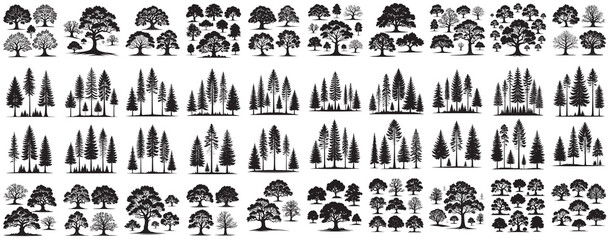 Pine and Oak Tree Silhouette Set. Icons for Logo Design. black nature elements with no background