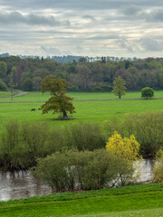 Irish countryside
