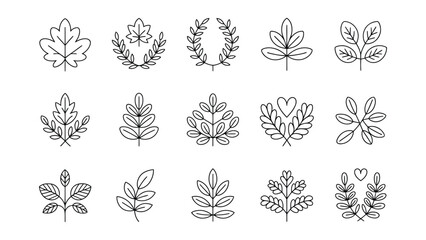 collection of 15 elegant hand-drawn botanical line art illustrations of leaves and plants in black and white for decorative design use