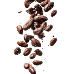 Falling cocoa beans raw cacao seeds isolated against black background close up shot