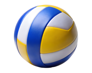 volleyball ball flat image