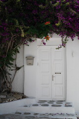 Fototapeta premium entrance to an old house Mykonos