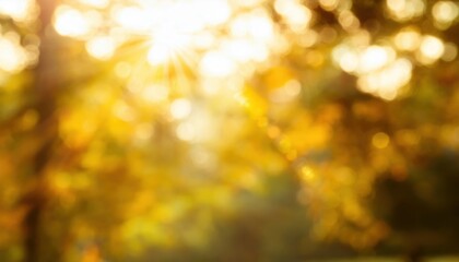 Obraz premium warm golden sunlight bokeh with blurred autumn foliage and glowing rays ideal background for seasonal web design, poster, branding, or greeting card