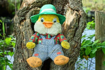one toy soft plush baby in green hat funny small with black eyes and orange beak multicolored in gray pants beautiful duckling lies in rotten tree trunk outside