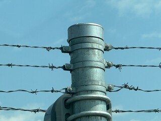 barbed wire fence