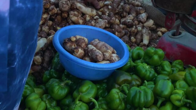 A woman selects from a pile of taro root, also known as arbi, in a panning shot that highlights the display.