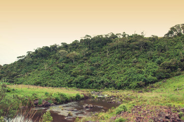 calm river passing through the countryside with a forest in the background