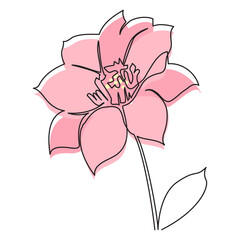 One line drawing of a pink clematis flower with abstract color fill. Minimalistic vector floral illustration for modern design, print, botanical decor, or tattoo art.