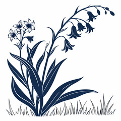 black and white lobelias