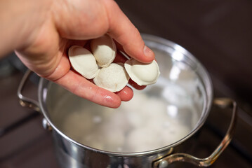 Hand adding pelmeni to boiling water for cooking. A close-up of a hand dropping several uncooked...