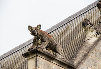 Gargouille au château de Chinon