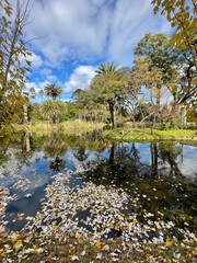 Paisaje otoñal en el lago