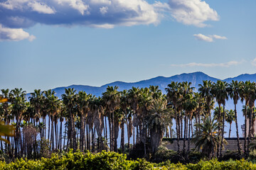 High mountains under clear blue sky in Gandia, Spain	
