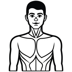 Fototapeta premium Black and White Illustration of a Man's Upper Body Muscular Torso Anatomy male