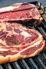 Savory Red Meat Sizzling and Smoking on a Summer Barbecue