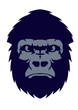 gorille animal sauvage grand singe