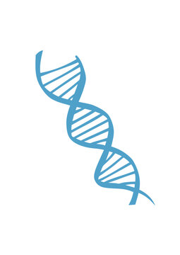 adn symbole dessin