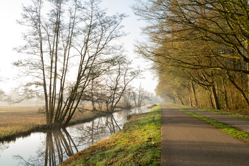 Curved pathways in Amsterdamse Bos designed for both cyclists and pedestrians. Surrounded by greenery and trees, the scene captures a peaceful moment in urban nature.